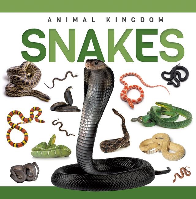 Snakes - Rebecca Phillips-Bartlett