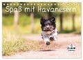 Spaß mit Havanesern (Tischkalender 2024 DIN A5 quer), CALVENDO Monatskalender - Sonja Teßen