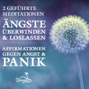 Ängste überwinden und loslassen - Alan Fields