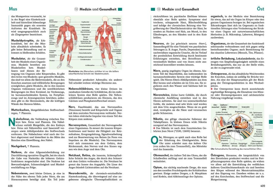 InsideView 3