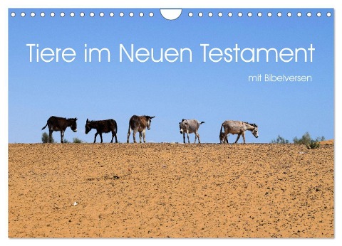 Tiere im Neuen Testament mit Bibelversen (Wandkalender 2024 DIN A4 quer), CALVENDO Monatskalender - Hans-Georg Vorndran