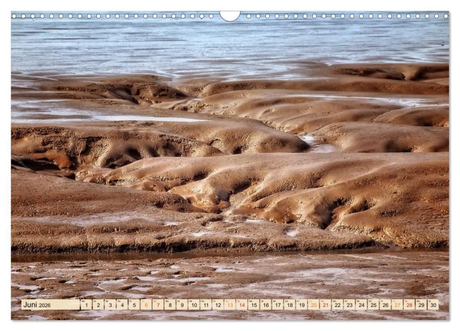 InsideView 11