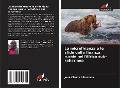 Cover-Bild zum Titel 'La microfinanza e le sfide della finanza rurale nell'Africa sub-sahariana' von 'Jean Claude Sibomana'