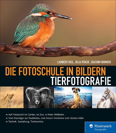 Die Fotoschule in Bildern. Tierfotografie - Lambert Heil, Julia Poker, Joachim Wimmer