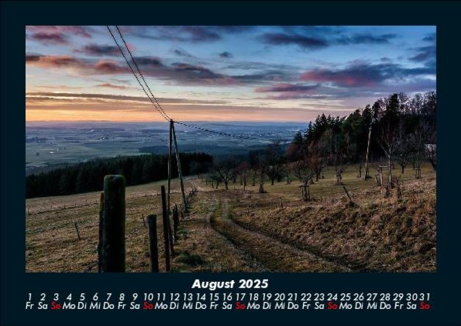 InsideView 12
