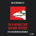 Cover-Bild zum Titel 'Du kommst mir gerade richtig!' von 'Bernd Mannhardt'
