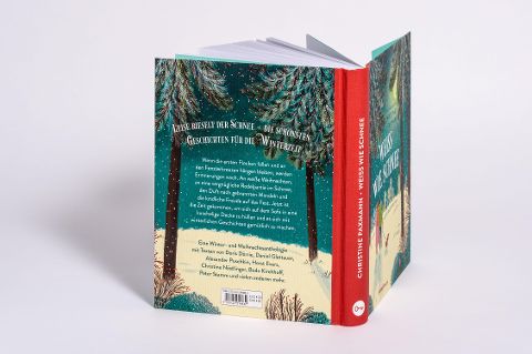 InsideView 13