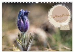 Cover-Bild zum Titel 'Frühlingsblüher - Farbenpracht nach dem Winter (Wandkalender 2027 DIN A3 quer), CALVENDO Monatskalender' von 'Tanja Schultz Fotografie'