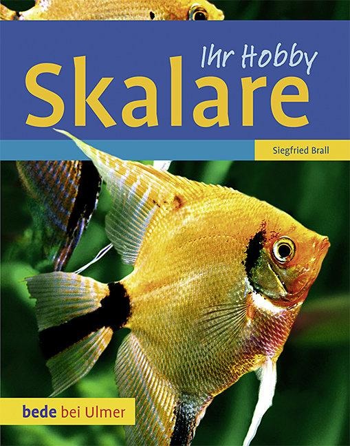 Skalare - Siegfried Brall