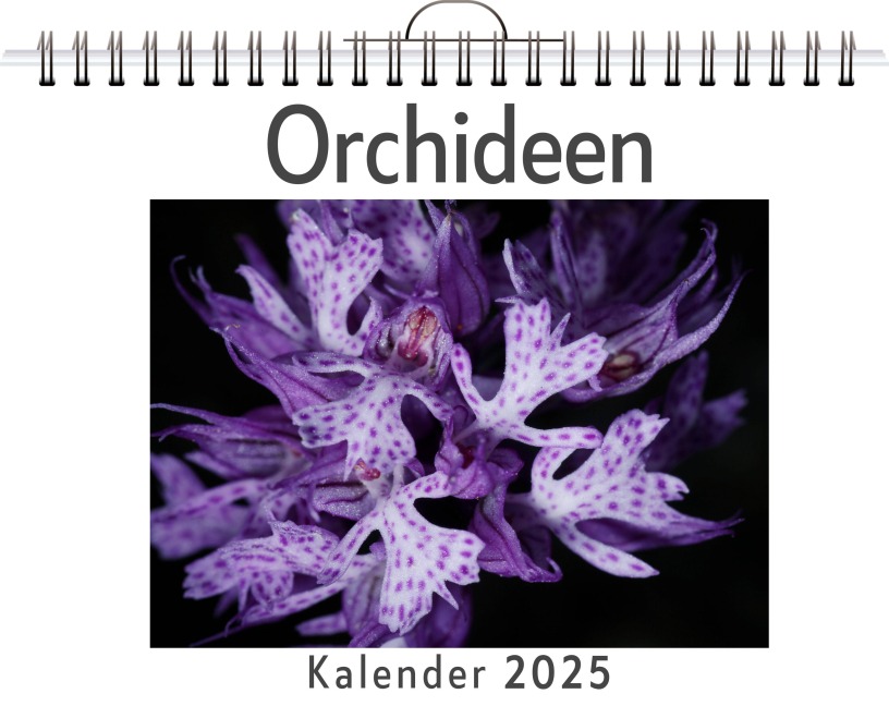 Orchideen - (Wandkalender 2025, Kalender DIN A4 quer, Monatskalender im Querformat mit Kalendarium, das perfekte Geschenk) - Alice Fischer