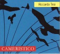Cover-Bild zum Titel 'Cameristico' von 'Riccardo Tesi'