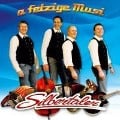 Cover-Bild zum Titel 'A Fetzige Musi' von 'Silbertaler'