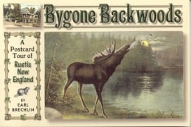 Cover-Bild zum Titel 'Bygone Backwoods' von 'Earl Brechlin'