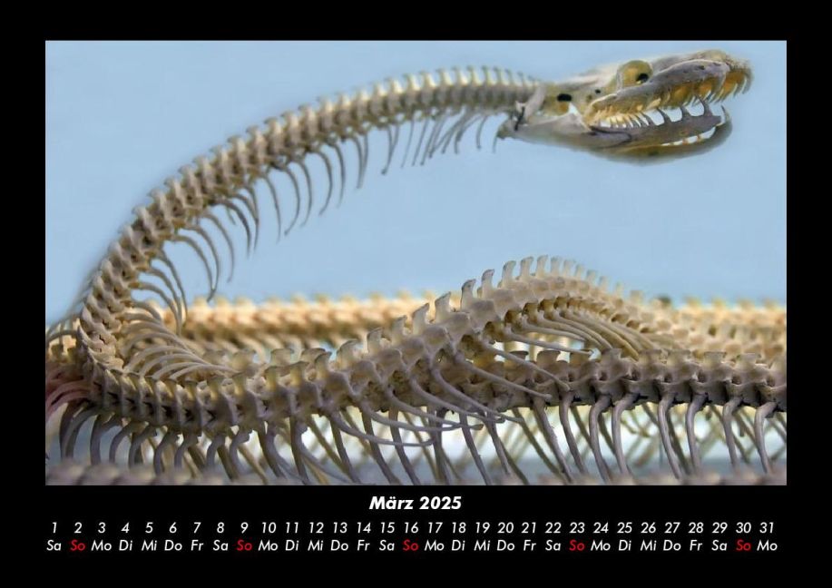 InsideView 7