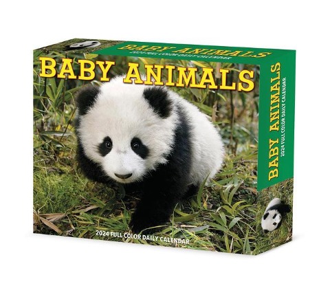 Baby Animals 2024 6.2 X 5.4 Box Calendar - Willow Creek Press