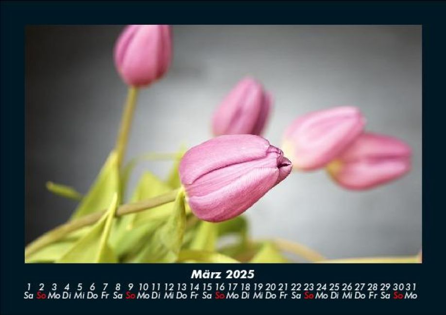InsideView 7