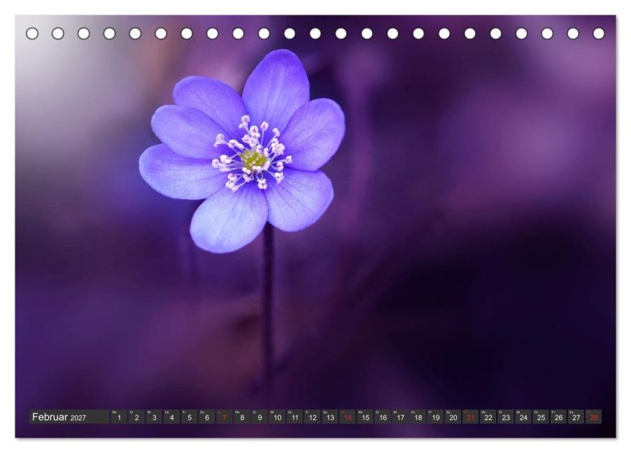 InsideView 7