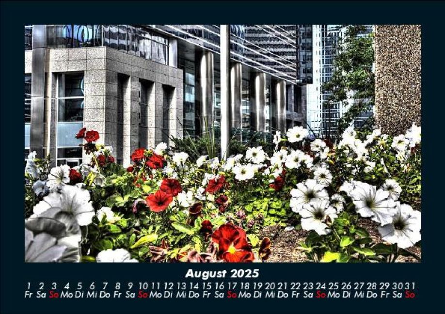 InsideView 12