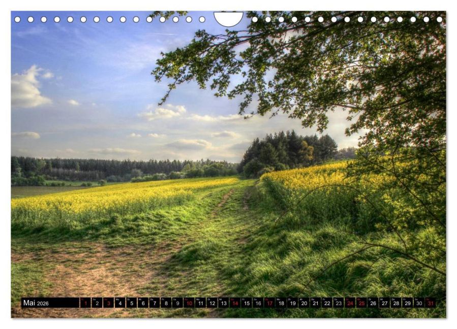 InsideView 10