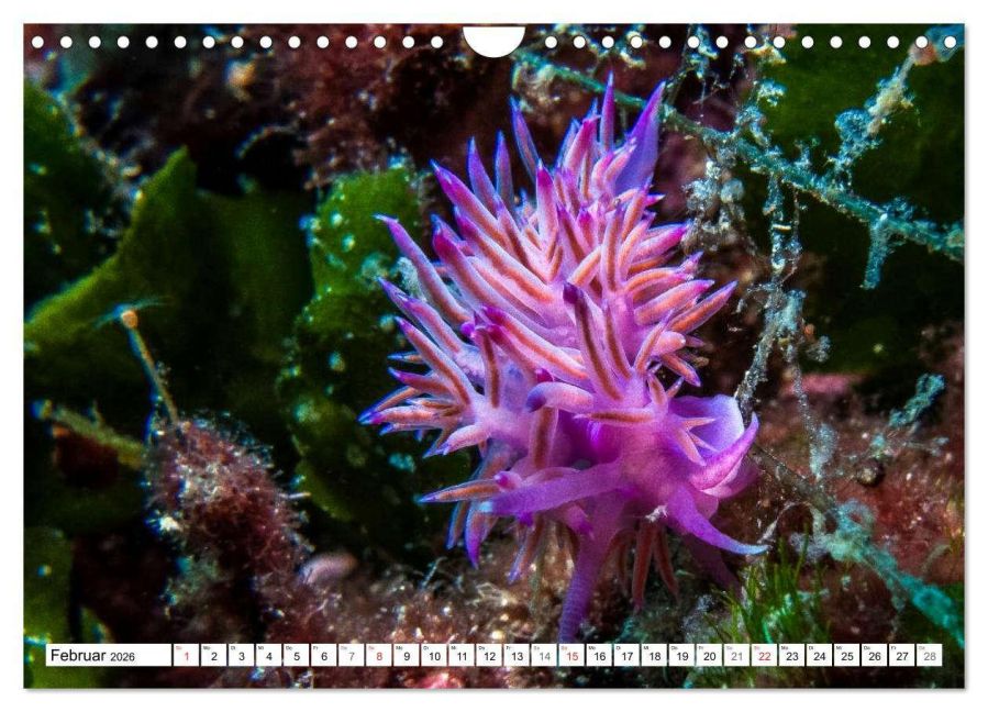 InsideView 7