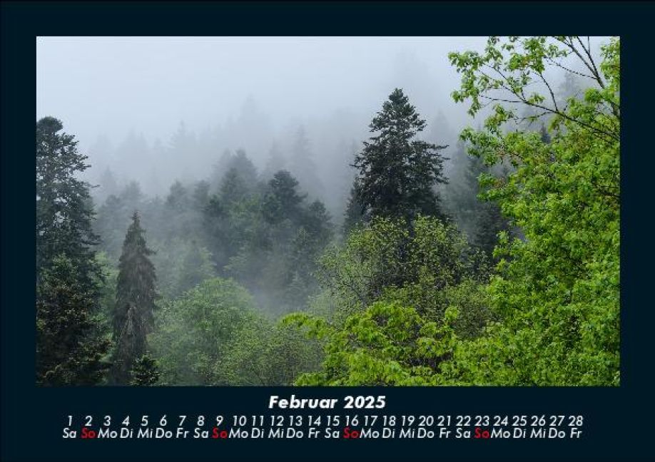 InsideView 6