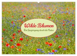 Cover-Bild zum Titel 'Wilde Blumen - ein Spaziergang durch die Natur (Wandkalender 2026 DIN A2 quer), CALVENDO Monatskalender' von ''