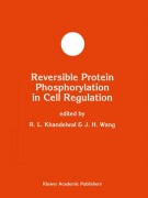 Cover-Bild zum Titel 'Theorie der neuronalen Netze' von 'Raul Rojas'