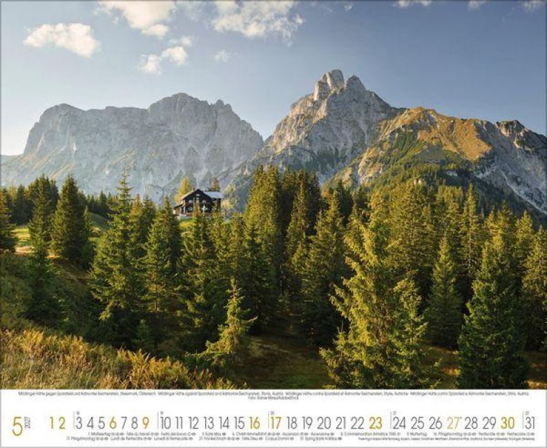 InsideView 5