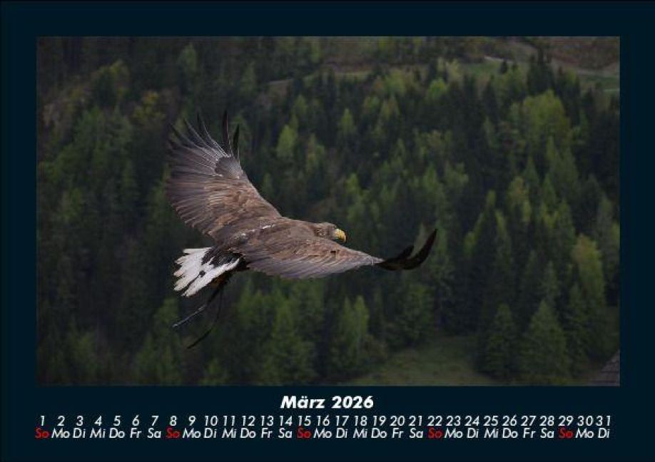 InsideView 7