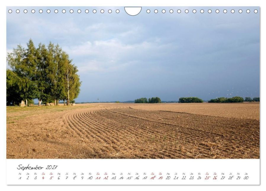 InsideView 14