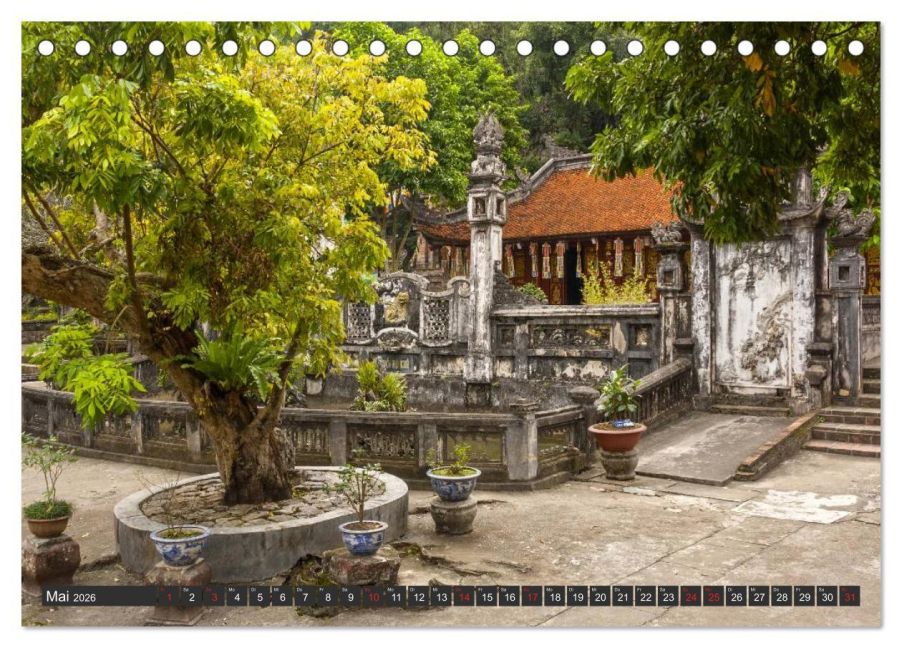 InsideView 10