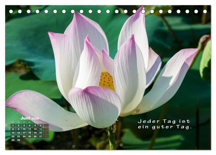 InsideView 11