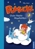 Cover-Bild zum Titel 'Pumuckl Vorlesebuch - Gute-Nacht-Geschichten' von 'Ellis Kaut, Uli Leistenschneider'