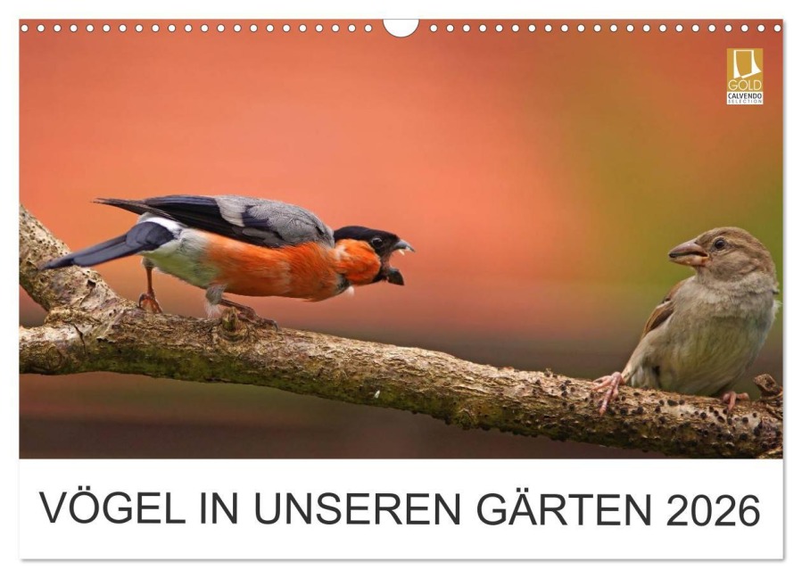 Vögel in unseren Gärten 2026 (Wandkalender 2026 DIN A3 quer), CALVENDO Monatskalender - Lutz Klapp