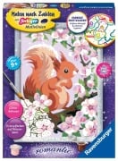 Cover-Bild zum Titel 'Ravensburger Malen nach Zahlen 20064 - Neugieriges Eichhörnchen - Kinder ab 9 Jahren' von ''