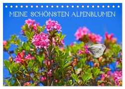 Meine schönsten Alpenblumen (Tischkalender 2026 DIN A5 quer), CALVENDO Monatskalender - Christa Kramer