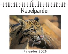 Cover-Bild zum Titel 'Nebelparder' von 'Emily Schneider'