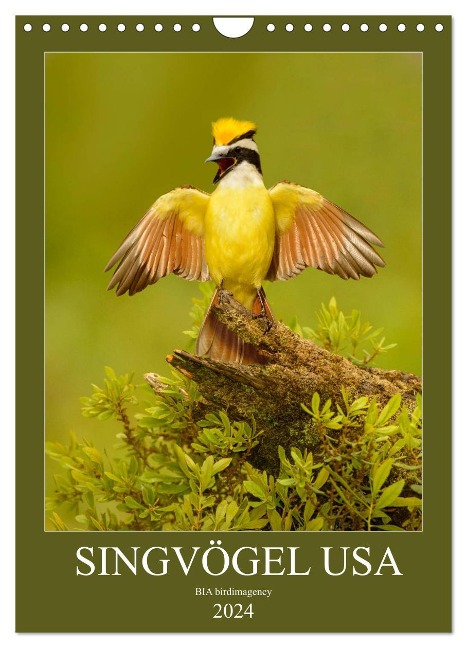 Singvögel USA (Wandkalender 2024 DIN A4 hoch), CALVENDO Monatskalender - Bia Birdimagency