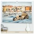 Die Katzen von Rovinj (hochwertiger Premium Wandkalender 2025 DIN A2 quer), Kunstdruck in Hochglanz - Viktor Gross