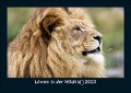 Löwen in der Wildnis 2023 Fotokalender DIN A5 - Tobias Becker