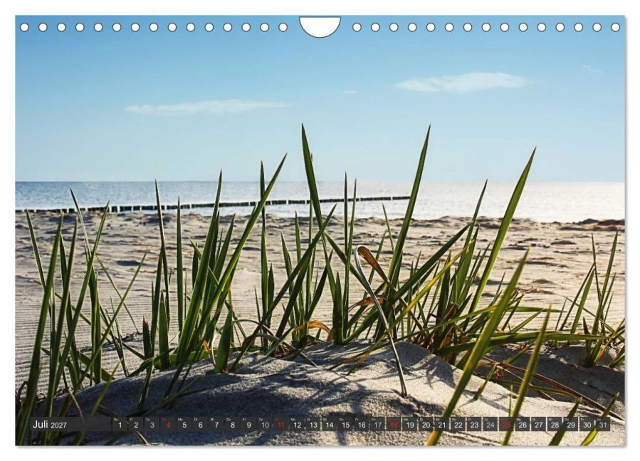 InsideView 12