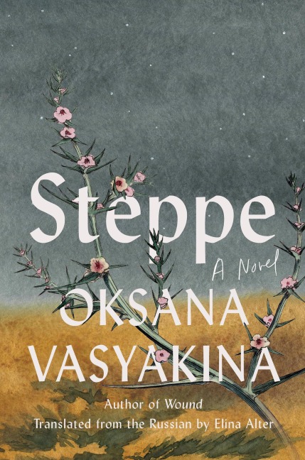 Steppe - Oksana Vasyakina