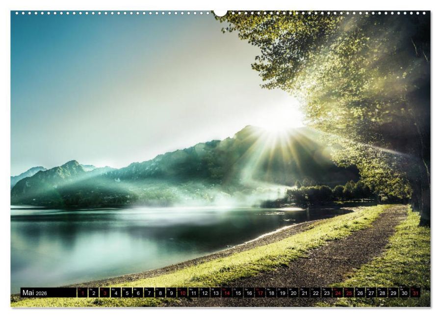 InsideView 10