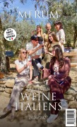 Cover-Bild zum Titel 'Die besten Weine Italiens 2026/2027' von ''