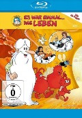 Cover-Bild zum Titel 'Es war einmal... Das Leben' von 'Albert Barillé, Michel Legrand'
