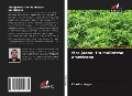 Cover-Bild zum Titel 'Marijuana: Un malinteso americano' von '¿Harles Hogan'
