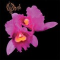 Cover-Bild zum Titel 'Orchid' von 'Opeth'
