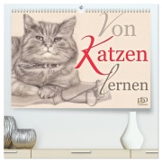 Von Katzen lernen (hochwertiger Premium Wandkalender 2026 DIN A2 quer), Kunstdruck in Hochglanz - Dany'S Kunst & Design