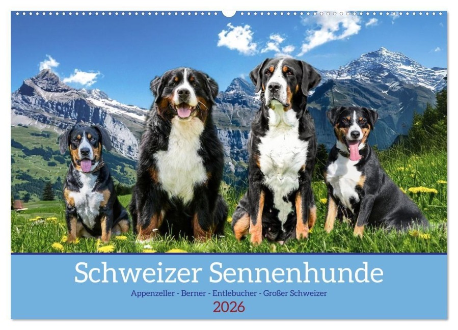 Schweizer Sennenhunde - Appenzeller - Berner - Entlebucher - Große Schweizer (Wandkalender 2026 DIN A2 quer), CALVENDO Monatskalender - Jana K. Fotografie