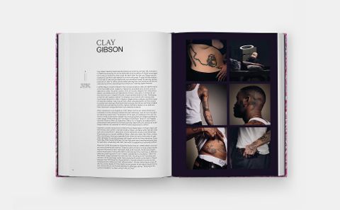 InsideView 3